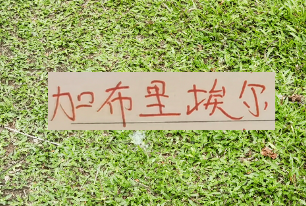 元游棋牌官方入口-拦不住申花降维打击！加布里不管咋样也是 低配版海港巴尔加斯